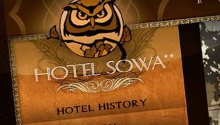 Hotel Sowa
